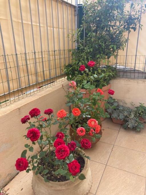 Appartamento Trilocale Olbia